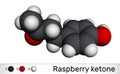 Raspberry ketone, frambinone, rheosmin , C10H12O2 molecule. It is natural phenolic compound and food additive. Molecular model. 3D