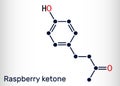 Raspberry ketone, frambinone, rheosmin , C10H12O2 molecule. It is natural phenolic compound and food additive. Skeletal chemical Royalty Free Stock Photo