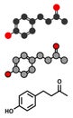 Raspberry ketone molecule. Primary aroma compound of raspberries. Used as food additive and in nutritional supplements