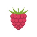 Raspberry with leaf vector icon. Raspberry icon clipart.