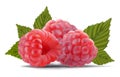 Raspberry with leaves