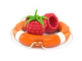 Raspberry with life buoy Royalty Free Stock Photo
