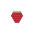 raspberry logo icon vector design symbol Royalty Free Stock Photo