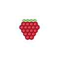 raspberry logo icon vector design symbol