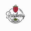 Raspberry logo. Round linear of organic raspberry