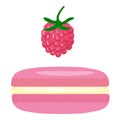 Raspberry macaroon icon cartoon vector. Cake french