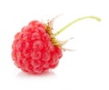 Raspberry macro