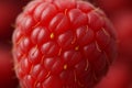 Raspberry Macro â Detailed Surface and Seed Texture of Fresh Berry Royalty Free Stock Photo