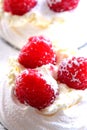 Raspberry meringue dessert Royalty Free Stock Photo