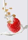 Raspberry milk and cereal Royalty Free Stock Photo