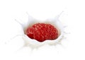Raspberry Milk Splash Royalty Free Stock Photo