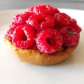 raspberry mini cake, tartlet on a plate, close-up, isolated. Italian Cuisine. Royalty Free Stock Photo