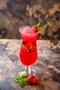 Raspberry and Mint Mojito with lemon slice served in cocktail glass isolated on dark background side view of healthy drink Royalty Free Stock Photo