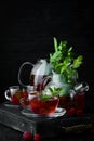 Raspberry and mint tea. Hot winter drinks. Royalty Free Stock Photo