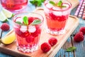 Raspberry mojito in a glass Royalty Free Stock Photo