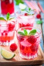 Raspberry mojito in a glass Royalty Free Stock Photo