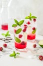 Raspberry Mojito