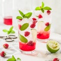 Raspberry Mojito