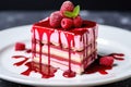 raspberry mousse cake with a raspberry coulis drizzle