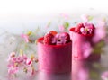 Raspberry mousse cakes