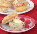 Raspberry Muffins Royalty Free Stock Photo