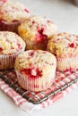 Raspberry Muffins on Cooling Rack Royalty Free Stock Photo