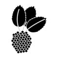 Raspberry natural diet pictogram