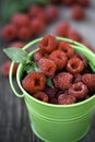 Raspberry organic in a bucket Royalty Free Stock Photo