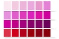 raspberry palette. Trendy style. Pastel colors. Vector illustration. Stock image.
