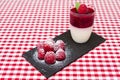 Raspberry panacotta Royalty Free Stock Photo