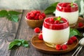 Raspberry Panna cotta with raspberry jelly, Italian dessert, homemade cuisine. Royalty Free Stock Photo