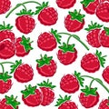 Raspberry pattern background set. Collection icon raspberry. Vector Royalty Free Stock Photo