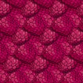 Raspberry pattern