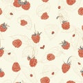 Raspberry pattern with ladybug.