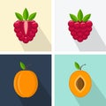 Raspberry and peach. Colorful flat design. Fruits Royalty Free Stock Photo