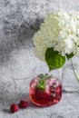 Raspberry, peach, mint cocktail lemonade refreshing drink and flowers on a gray background Royalty Free Stock Photo