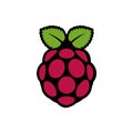 Raspberry pi pro logo editorial illustrative on white background Royalty Free Stock Photo