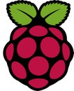 Raspberry pi logo Royalty Free Stock Photo
