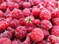 Raspberry