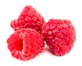 Raspberry. Raspberry isolated. Raspberry on white background Royalty Free Stock Photo