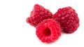 Raspberry. Raspberry isolated. Raspberry on white background Royalty Free Stock Photo