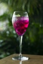 Raspberry and red dragon fruit wine spritzer cocktail