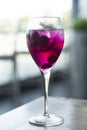 Raspberry and red dragon fruit prosecco wine spritzer cocktail Royalty Free Stock Photo