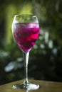 raspberry and red dragon fruit prosecco wine spritzer Royalty Free Stock Photo