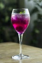 Raspberry and red dragon fruit prosecco wine spritzer cocktail