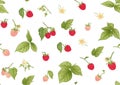 Raspberry. Ripe berries on branch. Seamless pattern, background. Royalty Free Stock Photo