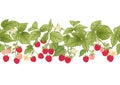 Raspberry. Ripe berries on branch. Seamless pattern, background. Royalty Free Stock Photo