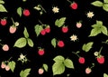 Raspberry. Ripe berries on branch. Seamless pattern, background. Royalty Free Stock Photo