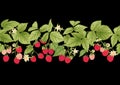 Raspberry. Ripe berries on branch. Seamless pattern, background. Royalty Free Stock Photo