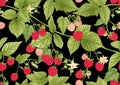 Raspberry. Ripe berries on branch. Seamless pattern, background. Royalty Free Stock Photo